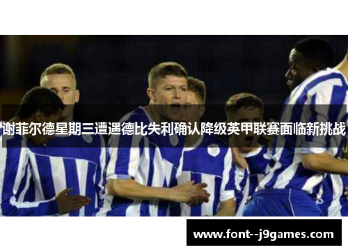 谢菲尔德星期三遭遇德比失利确认降级英甲联赛面临新挑战