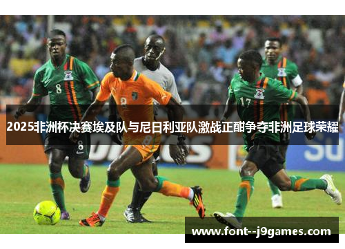 2025非洲杯决赛埃及队与尼日利亚队激战正酣争夺非洲足球荣耀